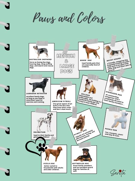 Paws and Colors (Printable Digital Book)