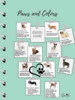 Paws and Colors (Printable Digital Book)