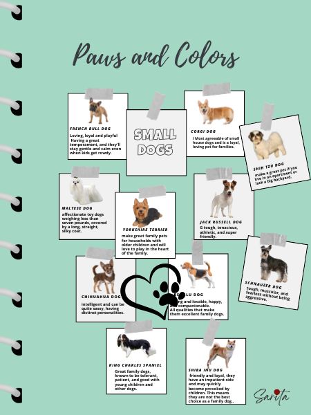 Paws and Colors (Printable Digital Book)